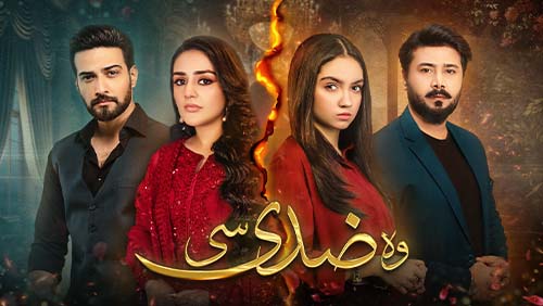 Woh Ziddi Si Episode 11